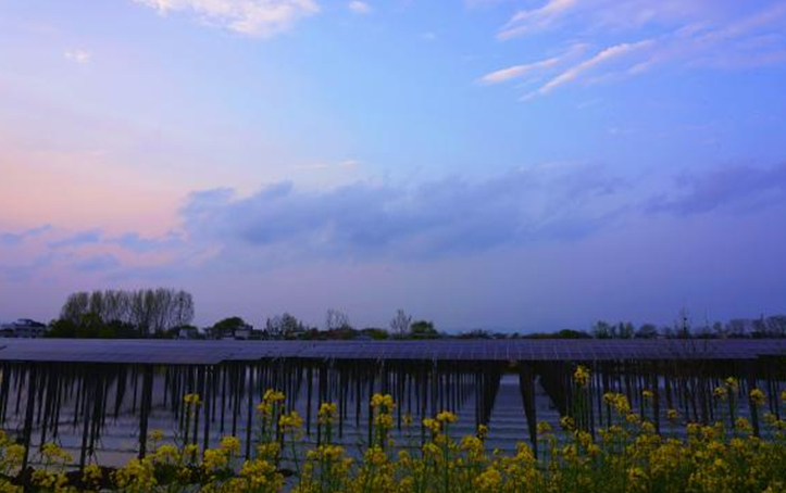 中國能建池州市貴池區(qū)讀山湖漁光互補(bǔ)光伏發(fā)電項目