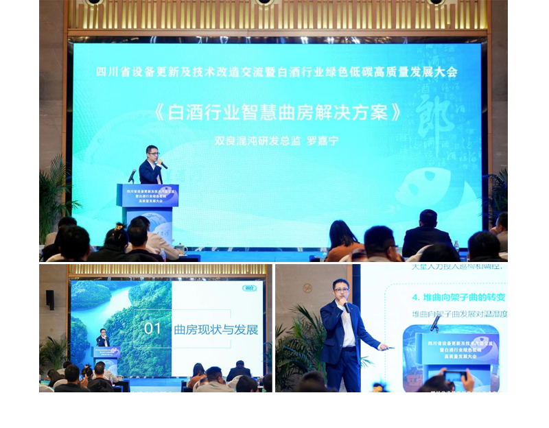 1733899638917308.png 12119996.png