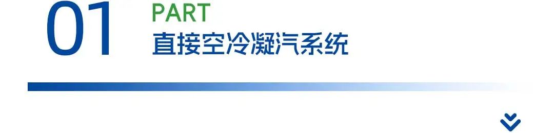 1744694063875782.jpg 2.jpg